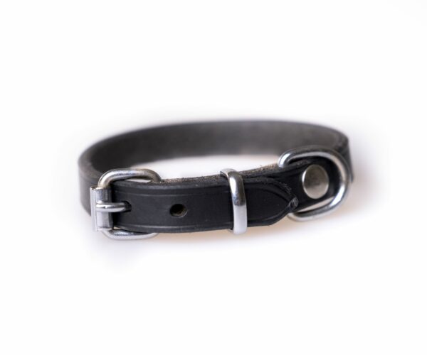 Active Canis Läderhalsband – 1,2×30 Cm, Svart