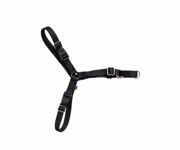 Active Canis Hundsele – Small