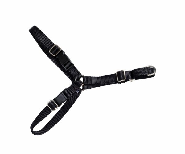 Active Canis Hundsele – Medium