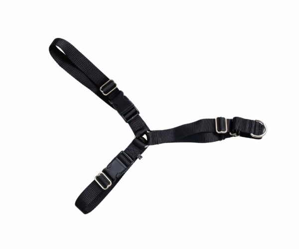 Active Canis Hundsele Justerbar Sele Large