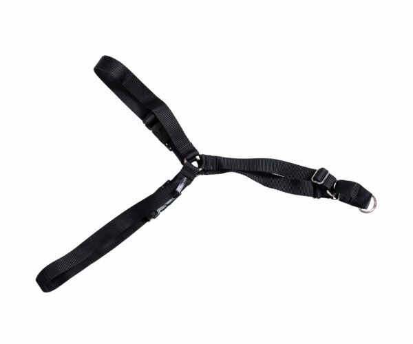 Active Canis Hundsele – X-Large