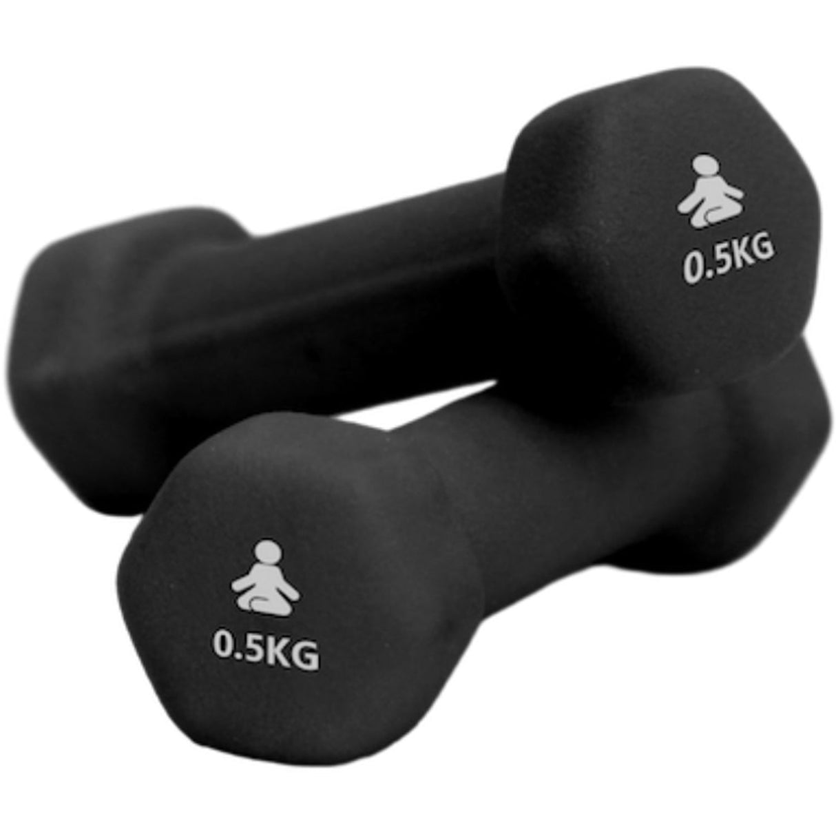 Fitpaddy Premium Dumbbells 2 X 0.5 kg