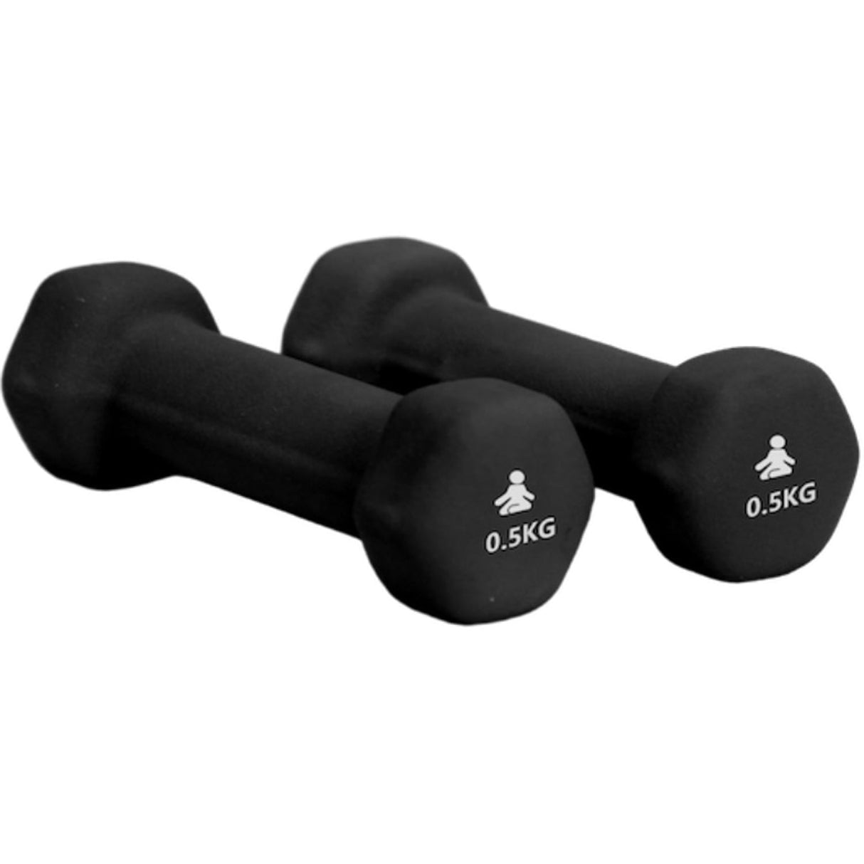 Fitpaddy Premium Dumbbells 2 X 0.5 kg
