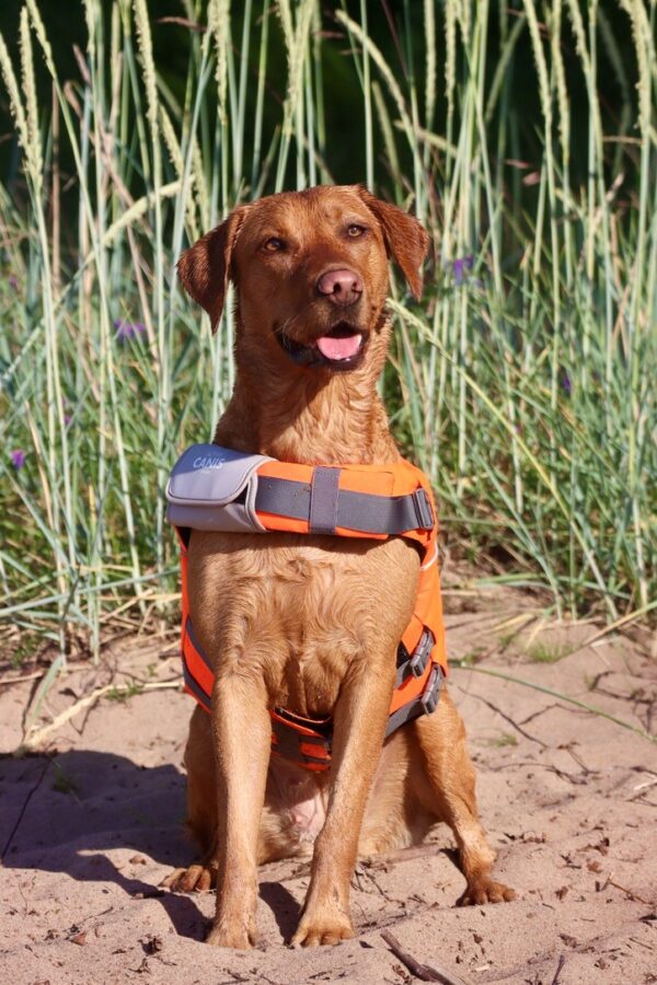 Active Canis Flytväst för Hund – L