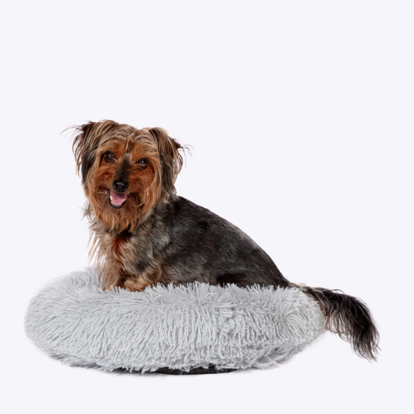Danish Design Bädd för Hund & Katt Small 50x17cm