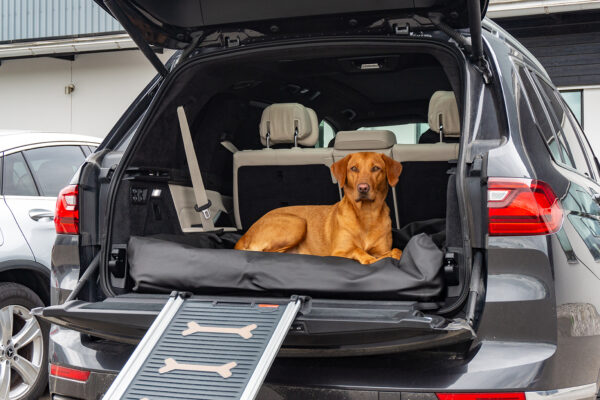 Active Canis Hundbädd Lounge – Strl. 3 (80×100 Cm), Svart