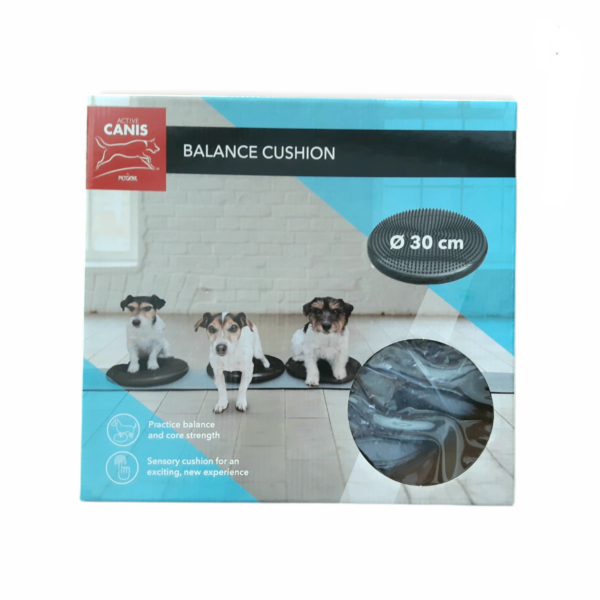 AC Stability Wobble Cushion