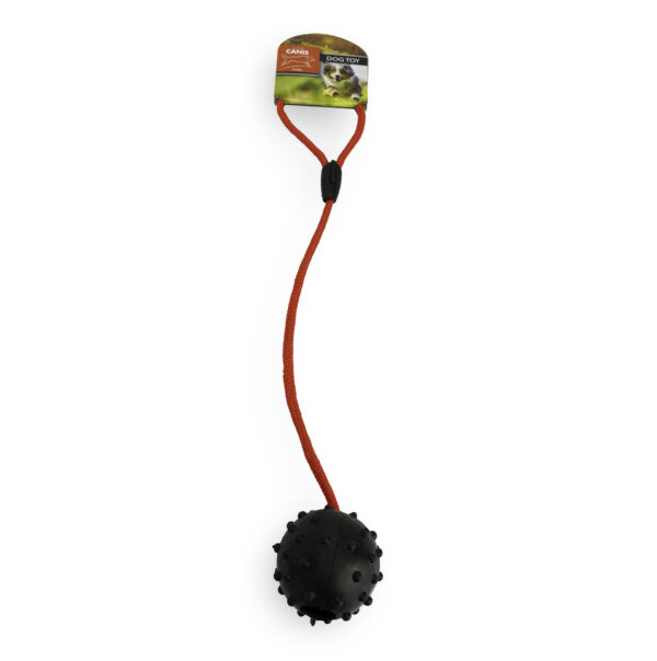 Active Canis Ball with rope Black