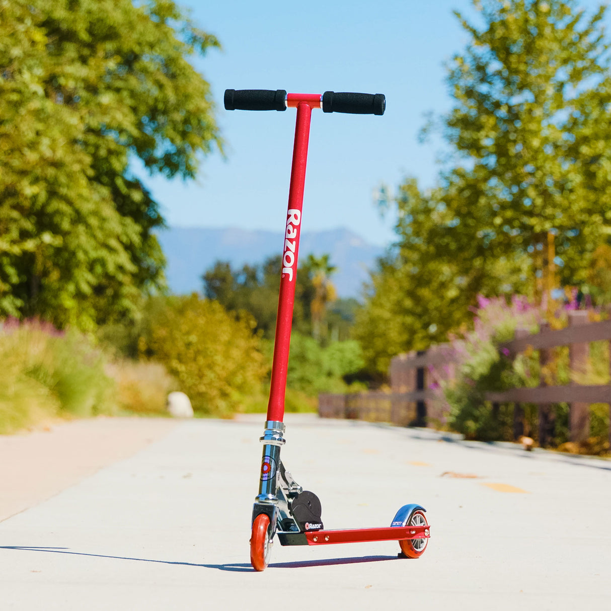 Razor Sport Scooter - Pink