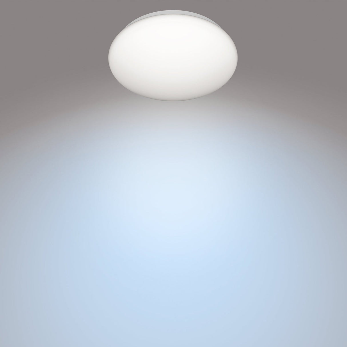 Philips CL200 Plafond 250mm 10W 1100lm 4000K Kallvitt