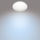 Philips CL200 Plafond 250mm 10W 1100lm 4000K Kallvitt
