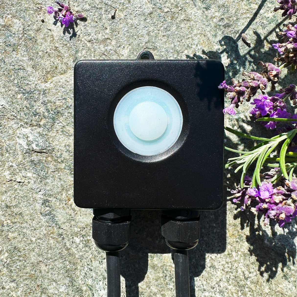 LightsOn Smart Control Tuya Smart max 50W