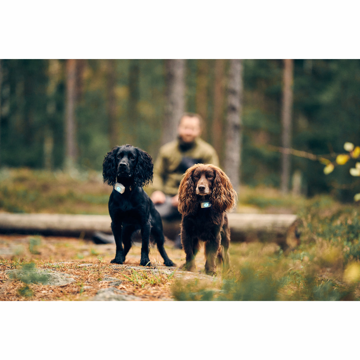 Lildog Lildog 2 GPS-Tracker för Hundar