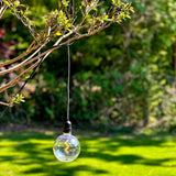 LightsOn Penny Pendellampa Gravity + DecoBulb XL Varmvit