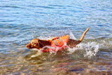 Active Canis Flytväst för Hund – M Röd