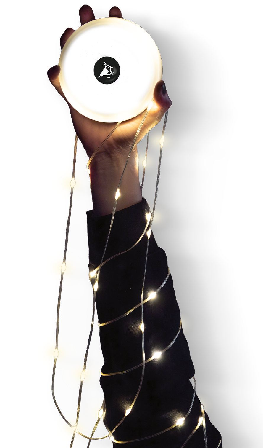 Aqiila Lightbird BL2