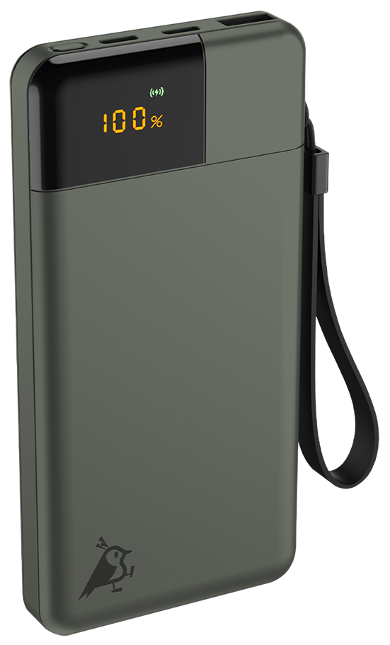 Aqiila Powerbird B10M 10000 mAh 20W