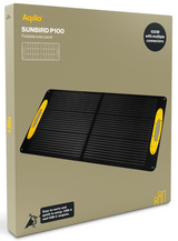 Aqiila Sunbird P100 100W