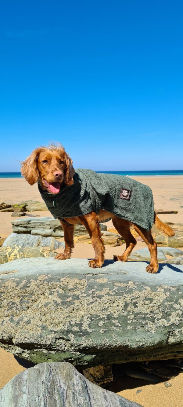 Danish Design Dog Bath Robe Green 40cm
