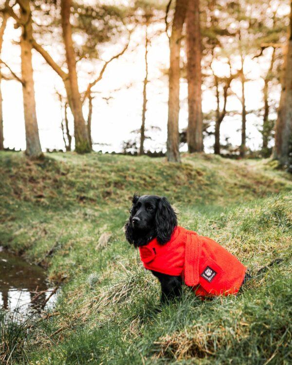 Danish Design Dog Bath Robe Red 40cm