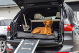 Active Canis Lounge Bed Strl.3 80X100 Svart