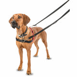 Halti Harness Large Black