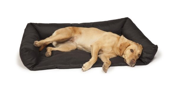 Danish Design Boot Bed 100 x 78 x 21cm