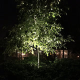 LightsOn Medusa Markspot med färgfilter