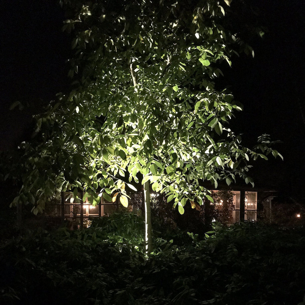 LightsOn Medusa Markspot med Färgfilter Svart