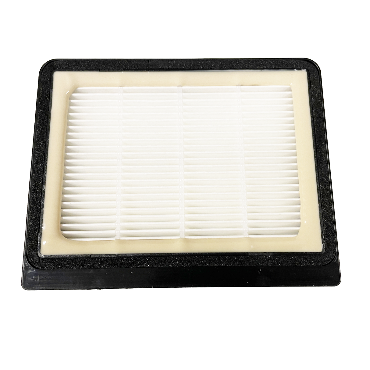 Champion HEPA-filter inlet DS050 Bulk